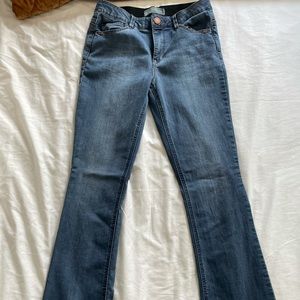 Wit & wisdom bootcut jeans